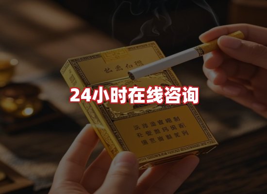 专业团队